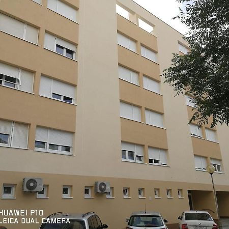 Apartment Mihaela Zadar Bagian luar foto