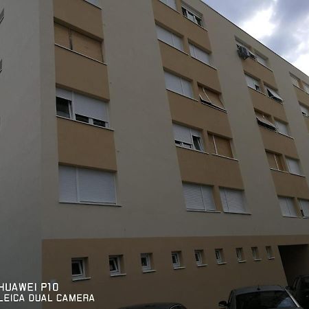 Apartment Mihaela Zadar Bagian luar foto