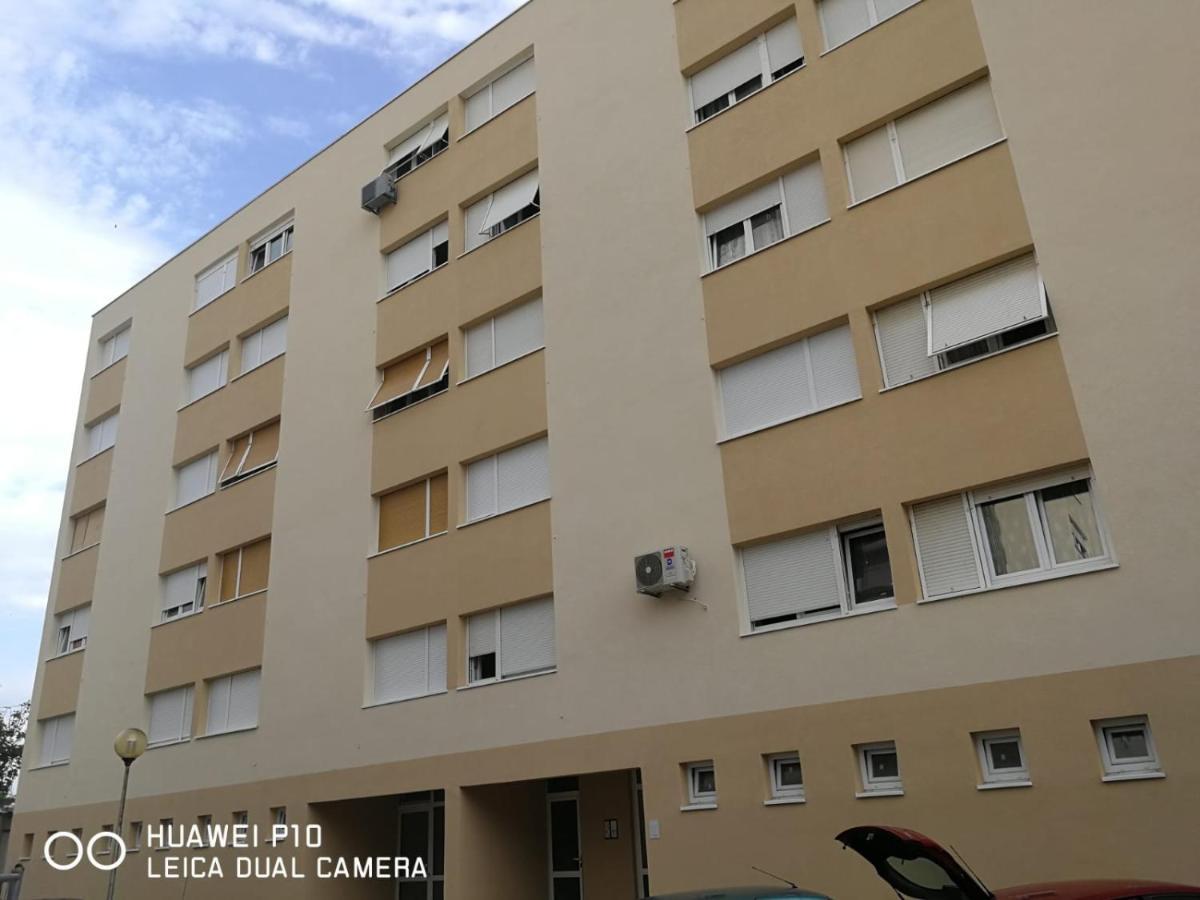 Apartment Mihaela Zadar Bagian luar foto